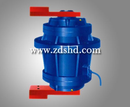 T05系列立式振動電機(jī)